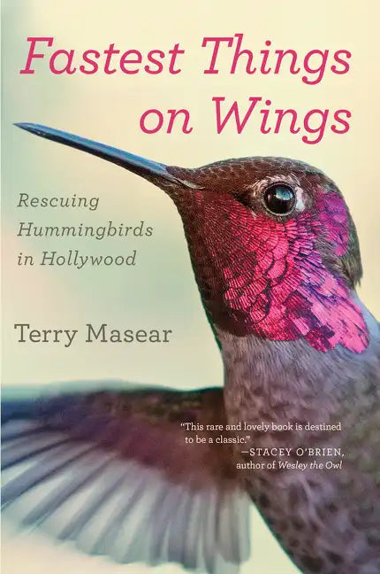 Fastest Things on Wings: Rescuing Hummingbirds in Hollywood - Paperback