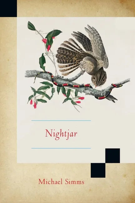 Nightjar - Paperback