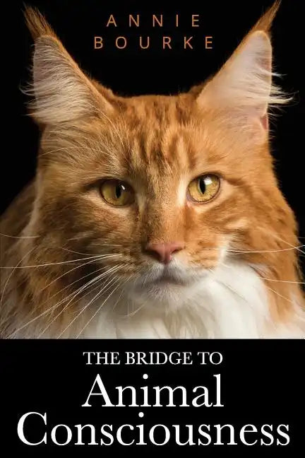 The Bridge To Animal Consciousness - Paperback
