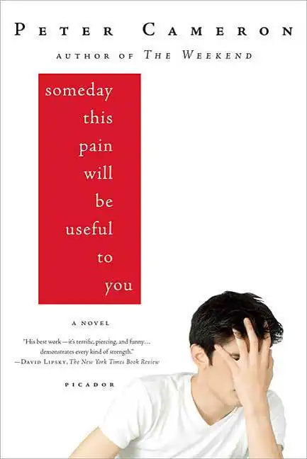 Someday This Pain Will Be Useful to You - Paperback