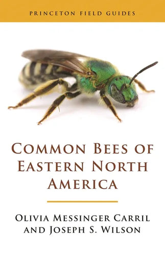 Common Bees of Eastern North America - Paperback