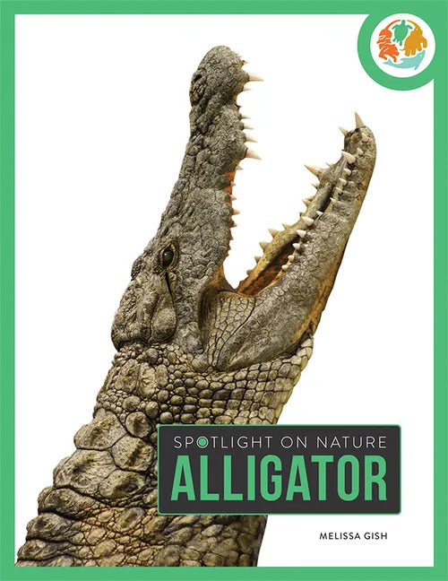 Alligator - Paperback