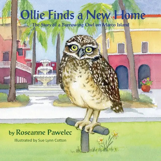 Ollie Finds a New Home, The Story of a Burrowing Owl on Marco Island - Paperback