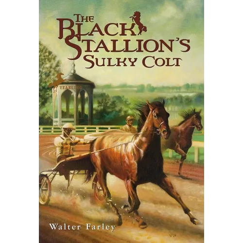 The Black Stallion's Sulky Colt - Paperback