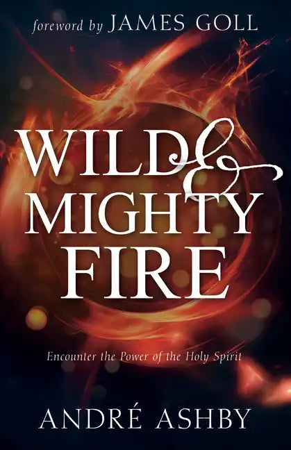 Wild and Mighty Fire: Encounter the Power of the Holy Spirit - Paperback
