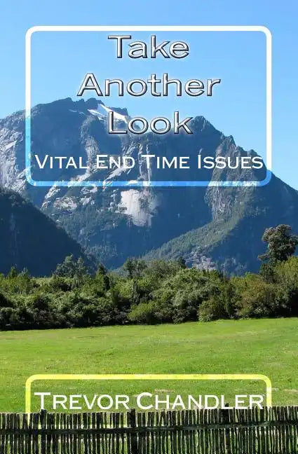 Take Another Look: Vital End Time Issues - Paperback