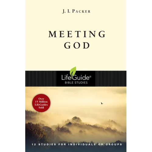 Meeting God - Paperback