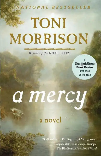A Mercy - Paperback