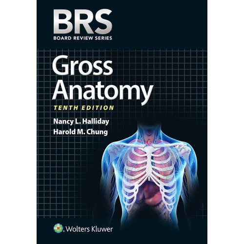 Brs Gross Anatomy - Paperback