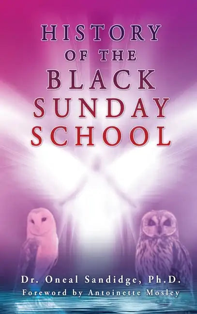 History of the Black Sunday School - Hardcover