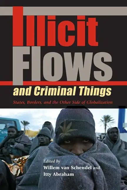 Illicit Flows and Criminal Things: States, Borders, and the Other Side of Globalization - Paperback
