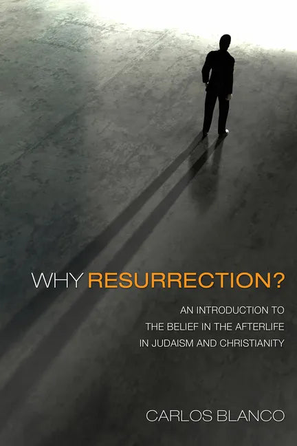 Why Resurrection?: An Introduction to the Belief in the Afterlife in Judaism and Christianity - Paperback