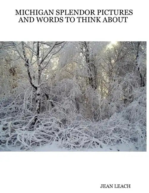 Michigan Splendor Pictures and Words to Think about - Paperback