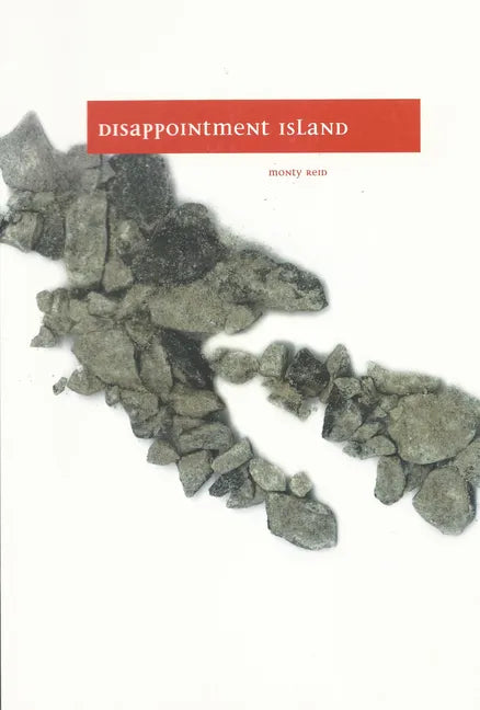 Disappointment Island - Paperback