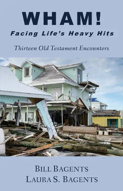 WHAM! Facing LIfe's Heavy Hits: Thirteen Old Testament Encounters - Paperback