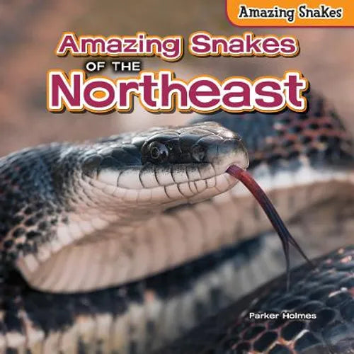 Amazing Snakes of the Northeast - Library Binding