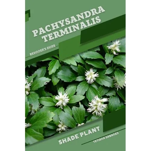 Pachysandra terminalis: Shade plant Beginner's Guide - Paperback