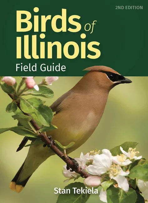 Birds of Illinois Field Guide - Paperback