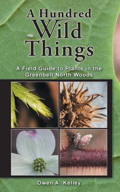 A Hundred Wild Things: A Field Guide to Plants in the Greenbelt North Woods - Paperback