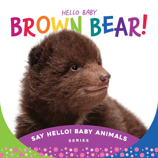 Hello Baby Brown Bear! - Board Book