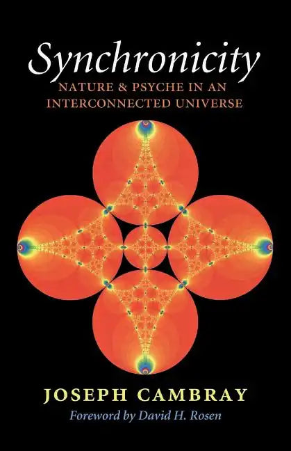 Synchronicity: Nature and Psyche in an Interconnected Universe Volume 15 - Paperback