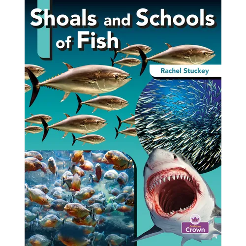 Shoals and Schools of Fish - Paperback