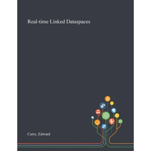 Real-time Linked Dataspaces - Paperback