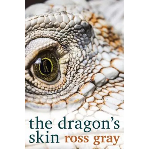 The Dragon's Skin - Paperback