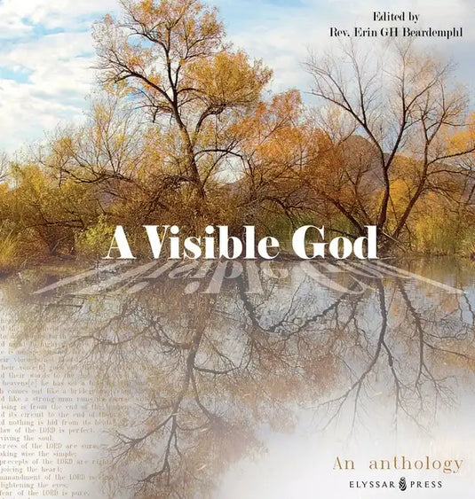 A Visible God - Hardcover