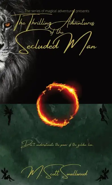 The Thrilling Adventures of the Secluded Man - Paperback