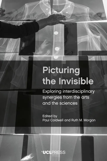 Picturing the Invisible: Exploring Interdisciplinary Synergies from the Arts and the Sciences - Paperback