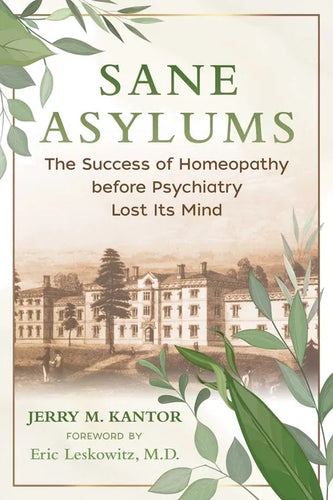 Sane Asylums: The Success of Homeopathy Before Psychiatry Lost Its Mind - Paperback