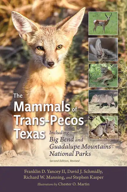 The Mammals of Trans-Pecos Texas: Including Big Bend and Guadalupe Mountains National Parks - Paperback