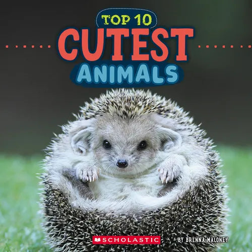 Cutest Animals (Wild World: Top 10) - Paperback
