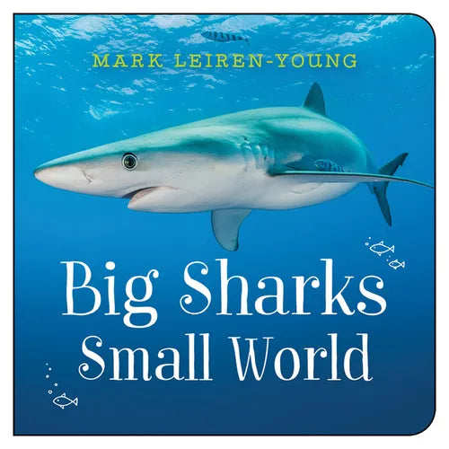Big Sharks, Small World - Board Book