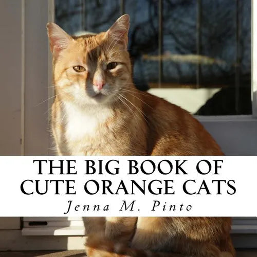 The Big Book of Cute Orange Cats: A text-free book for Seniors and Alzheimer's patients - Paperback