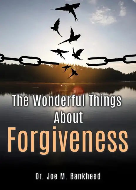 The Wonderful Things About Forgiveness - Paperback