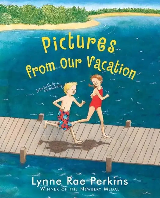 Pictures from Our Vacation - Hardcover