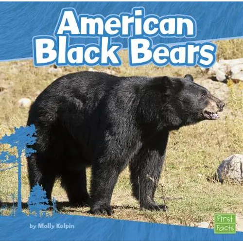 American Black Bears - Paperback