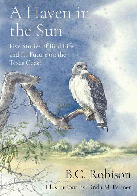 A Haven in the Sun: Five Stories of Bird Life and Its Future on the Texas Coast - Hardcover