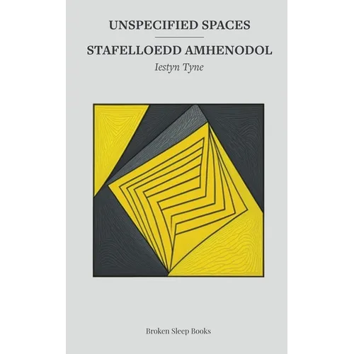 Unspecified Spaces - Paperback