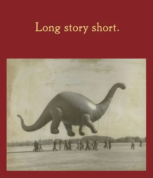 Long Story Short - Hardcover