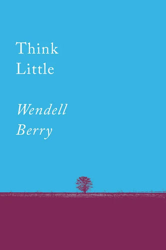 Think Little: Essays - Paperback