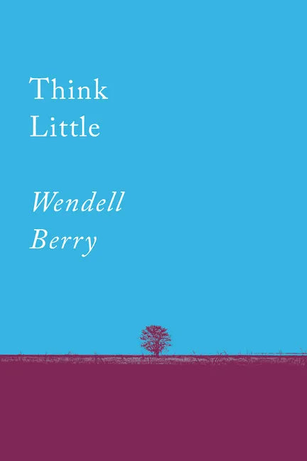 Think Little: Essays - Paperback