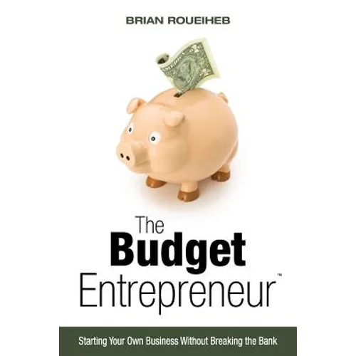 The Budget Entrepreneur: Starting Your Own Business Without Breaking the Bank - Paperback
