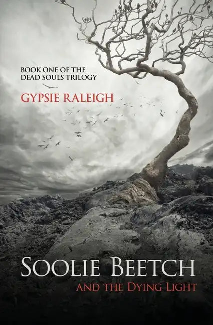 Soolie Beetch and the Dying Light - Paperback