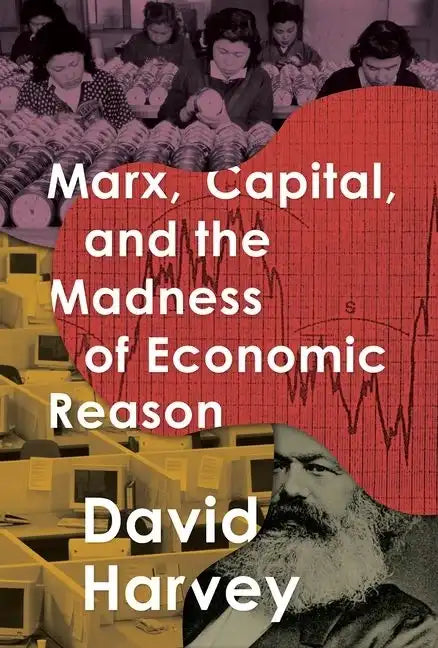 Marx, Capital, and the Madness of Economic Reason - Paperback