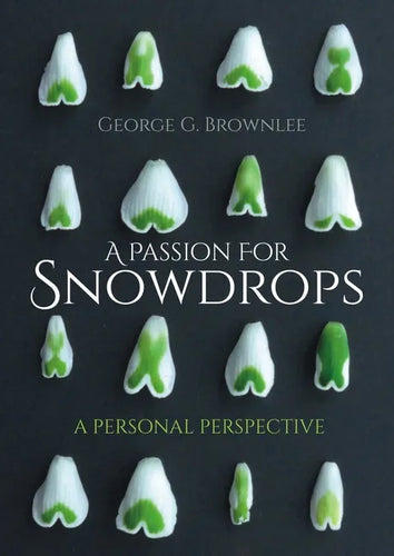 A Passion for Snowdrops: A Personal Perspective - Paperback