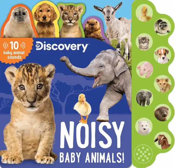 Discovery: Noisy Baby Animals! - Board Book