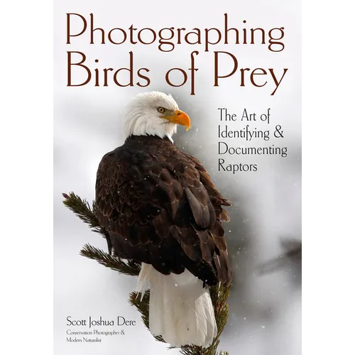 Photographing Birds of Prey: The Art of Identifying & Documenting Raptors - Paperback